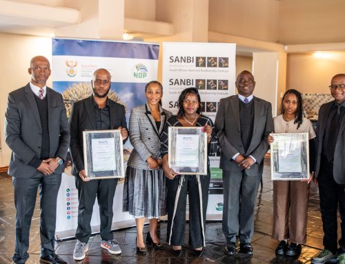 NCPC develops the next generation of green economy experts